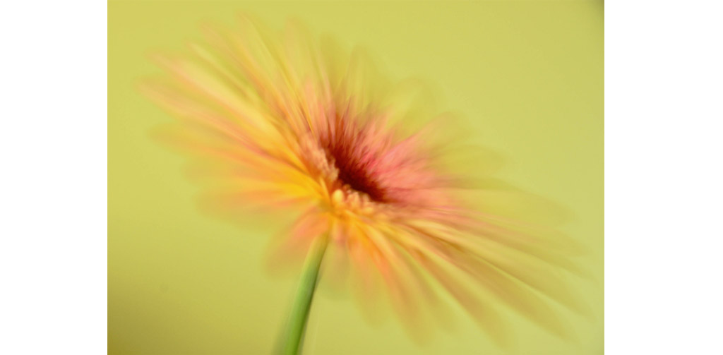 Ruth Duffield image
